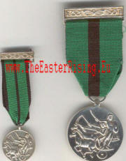 The Distinguished Service Medal 1st Class