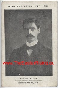 Postcard Irish Rebellion Michael Mallin 
