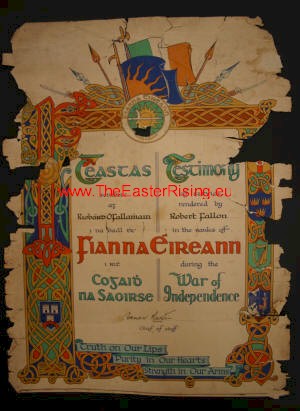 Fianna Éireann Certificate