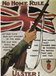 Anti Home Rule Postcard 1