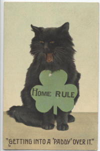 Pro Home Rule Postcards 6